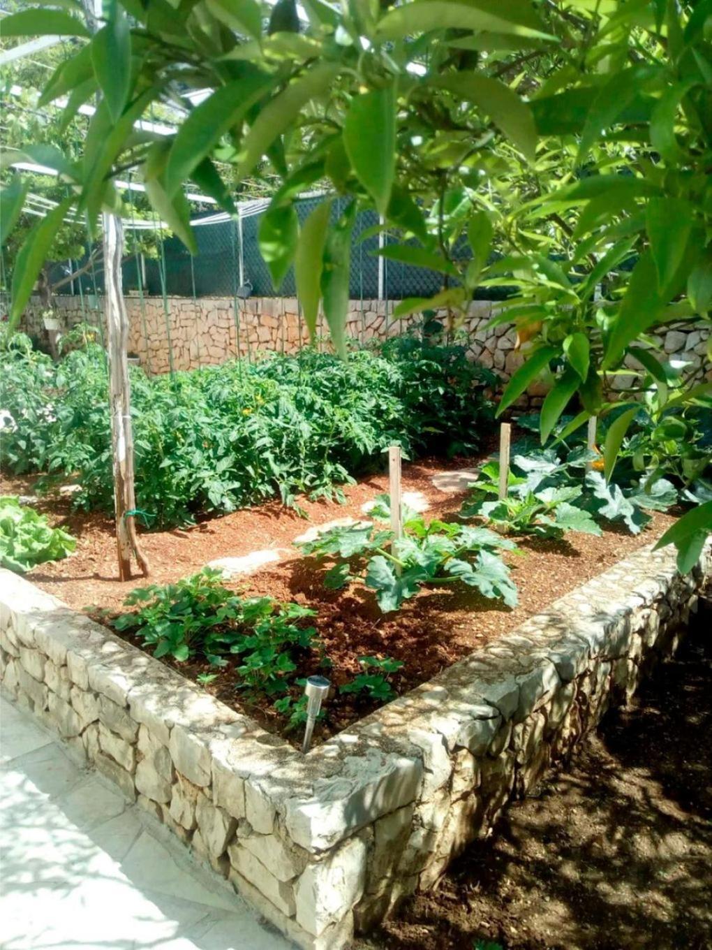 Apartments Anki Živogošće المظهر الخارجي الصورة