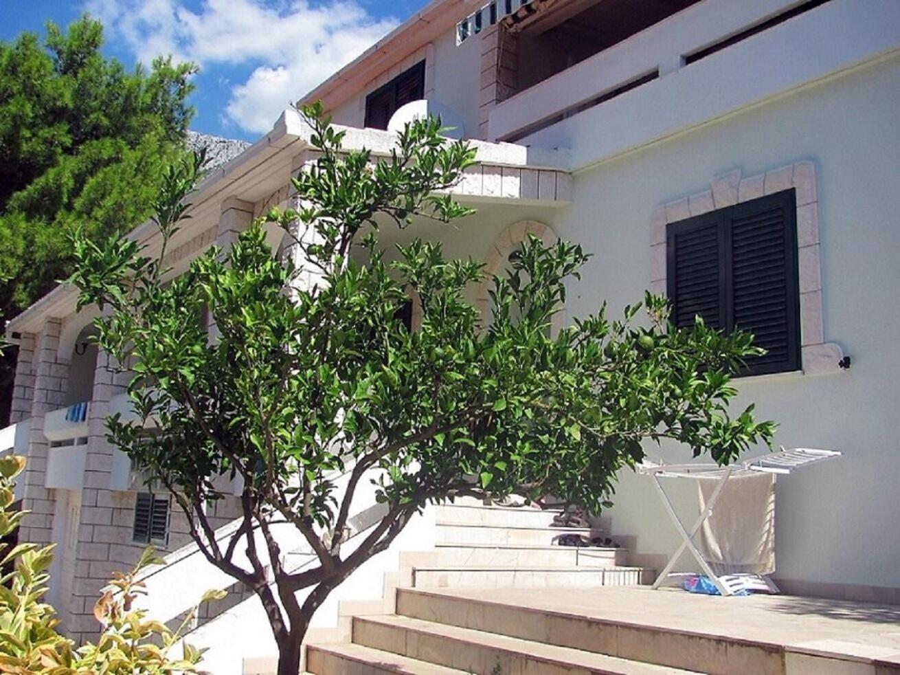 Apartments Anki Živogošće المظهر الخارجي الصورة